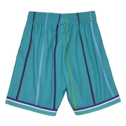 Big Face 2.0 Shorts Charlotte Hornets