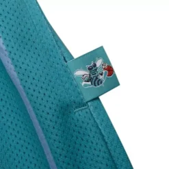 Big Face 2.0 Shorts Charlotte Hornets