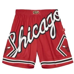 Big Face 2.0 Shorts Chicago Bulls