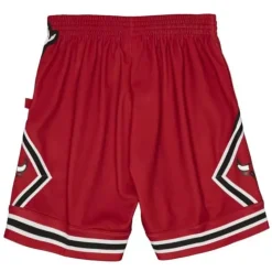 Big Face 2.0 Shorts Chicago Bulls