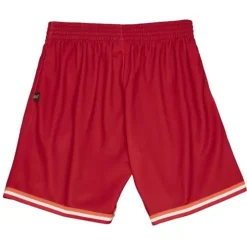 Big Face 2.0 Shorts Miami Heat