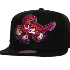 Big Face 7.0 Snapback Hwc Toronto Raptors