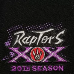 Big Face 7.0 Snapback Hwc Toronto Raptors