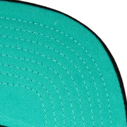 Big Face 7.0 Snapback Hwc Vancouver Grizzlies