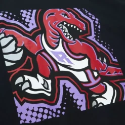 Big Face 7.0 Ss Tee Toronto Raptors