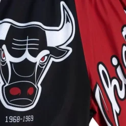 Big Face Fashion Shorts 5.0 Chicago Bulls