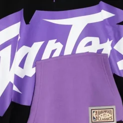 Big Face Hoodie 5.0 Toronto Raptors