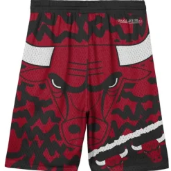 Big Face Jumbotron Mesh Shorts Chicago Bulls