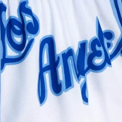 Big Face Shorts Los Angeles Lakers