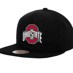 Bigback Fitted Hat Ohio State