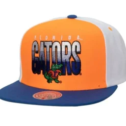 Billboard 2 Snapback University Of Florida