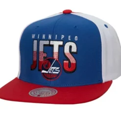 Billboard 2 Snapback Vntg Winnipeg Jets