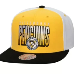Billboard 2 Snapback Vntg Pittsburgh Penguins