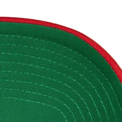 Boom Text Pro Snapback Hwc Toronto Raptors