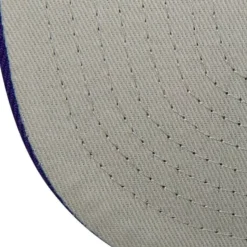 Breakthrough Snapback Los Angeles Lakers