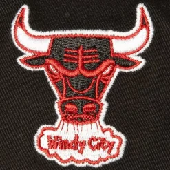 Brushed Past Ya Pro Snapback Hwc Chicago Bulls