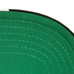 Brushed Past Ya Pro Snapback Hwc Chicago Bulls