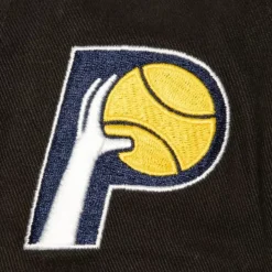 Brushed Past Ya Pro Snapback Hwc Indiana Pacers