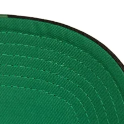 Brushed Past Ya Pro Snapback Hwc Milwaukee Bucks