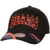Brushed Past Ya Pro Snapback Chicago Bears