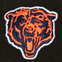 Brushed Past Ya Pro Snapback Chicago Bears