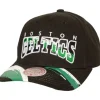 Brushed Past Ya Pro Snapback Boston Celtics