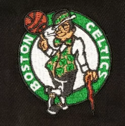 Brushed Past Ya Pro Snapback Boston Celtics