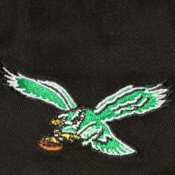 Brushed Past Ya Pro Snapback Philadelphia Eagles