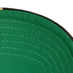 Brushed Past Ya Pro Snapback Vegas Golden Knights