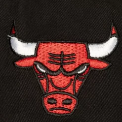 Brushed Past Ya Pro Snapback Chicago Bulls