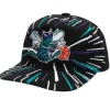 Burst Deadstock Snapback Hwc Charlotte Hornets