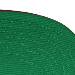 Buzz Snapback Vntg Anaheim Ducks