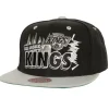 Buzz Snapback Vntg Los Angeles Kings