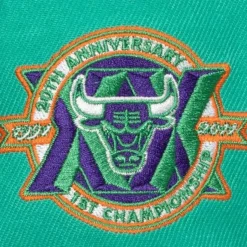 Cactus Cooler Fitted Hat Chicago Bulls