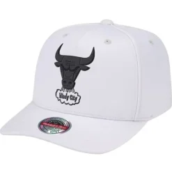 Casper Stretch Precurve Snapback Chicago Bulls