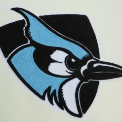 Chainstitch Heavyweight Hoodie Current Johns Hopkins University