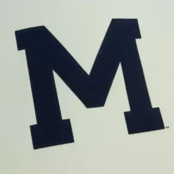 Chainstitch Heavyweight Hoodie Retro University Of Michigan