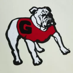 Chainstitch Heavyweight Hoodie Retro University Of Georgia