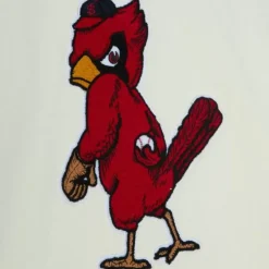 Chainstitch Heavyweight Hoodie Retro St. Louis Cardinals