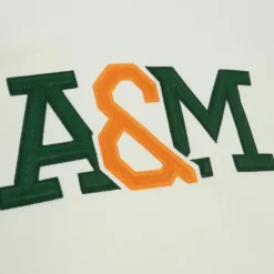 Chainstitch Heavyweight Hoodie Current Florida A&M University