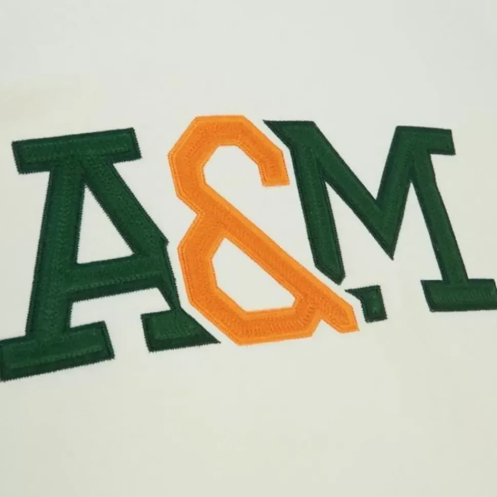 Chainstitch Heavyweight Hoodie Current Florida A&M University