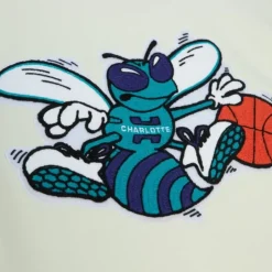 Chainstitch Heavyweight Hoodie Retro Charlotte Hornets