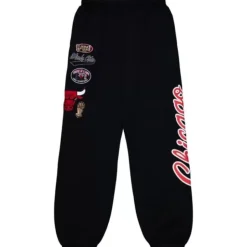 Champ City Fleece Jogger Chicago Bulls