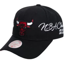 Champ Wrap Pro Snapback Chicago Bulls
