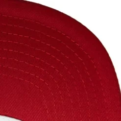 Cherry Bomb Snapback Chicago Bulls