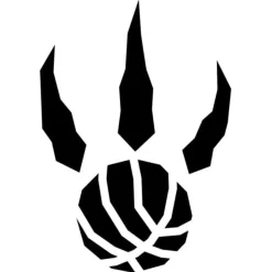 Chris Bosh 2003-04 Authentic Jersey Toronto Raptors