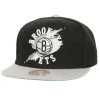Circle Splash Snapback Brooklyn Nets