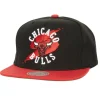 Circle Splash Snapback Chicago Bulls
