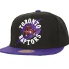 Circle Splash Snapback Hwc Toronto Raptors