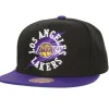 Circle Splash Snapback Los Angeles Lakers